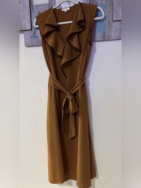Lilysilk Silk Brown Ruffled dress, size M - runs large